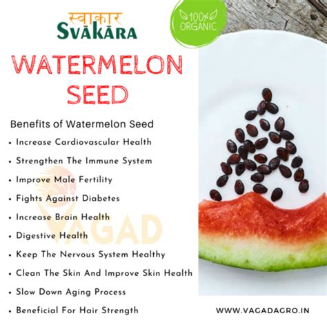 10 Amazing Health Benefits Of Watermelon Seed