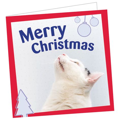 Cats Protection Charity Gift Card 10 Buy From The Cats Protection Shop