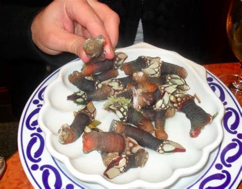 CHOW ABROAD: Eating Barnacles in Portugal