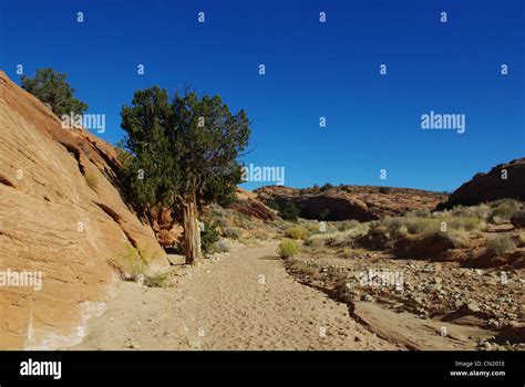 Hiking trail near Peek-a-boo slot canyon, Utah Stock Photo - Alamy