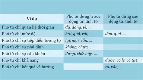 tu va pho tu tim hieu sau ve cac loai tu quan trong trong tieng viet