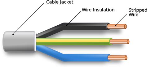 Structure Of Electrical Cable Clipart Large Size Png Image Pikpng