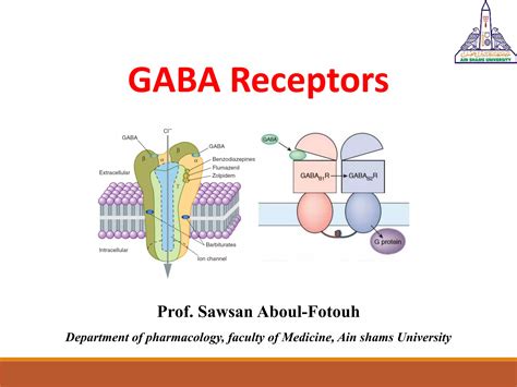 Gaba Receptors Ppt