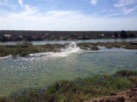 Desalination Plants and Their Potential Effect on the Environment ...