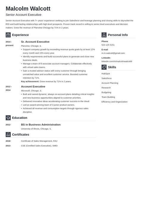 Account Executive Resume Examples And Guide For 2025