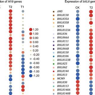 The Heatmap Diagrams Of The Relative Expression Levels Of Tfs Annotated