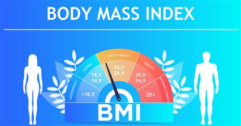 blibli friends artikel temukan  menggunakan kalkulator bmi