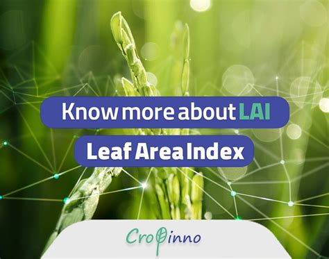 Leaf Area Index Cropinno