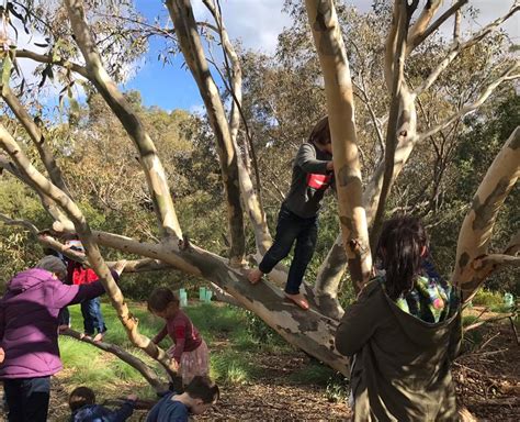 Newport Lakes Reserve Newport Eco Explorers