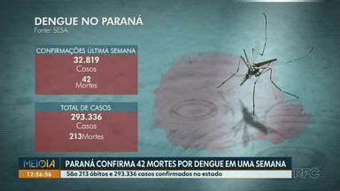 Meio Dia Paran Noroeste Paran Confirma Mortes Por Dengue Em