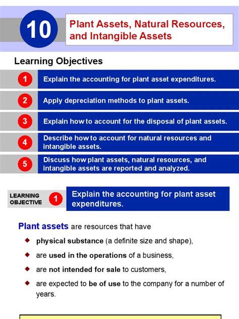 Chapter 10 Plant Assets Natural Resources And Intangible Assets Pdf