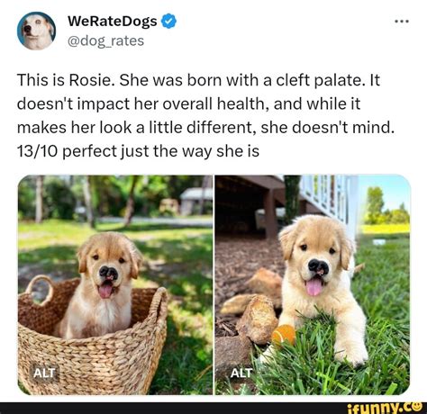Cleft Memes Best Collection Of Funny Cleft Pictures On Ifunny