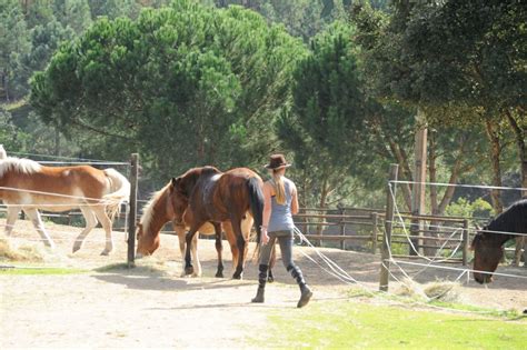 Useful information Portugal | Culture | Portugal by Horse