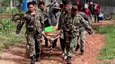 Thailand Tiger Temple Forty Dead Cubs Found In Freezer Bbc News