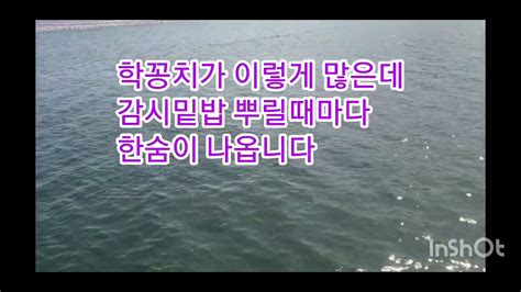 학꽁치낚시장항방파제23105학꽁치가 정말많은데 못잡는이유을 알겠습니다 더보기참조 Youtube