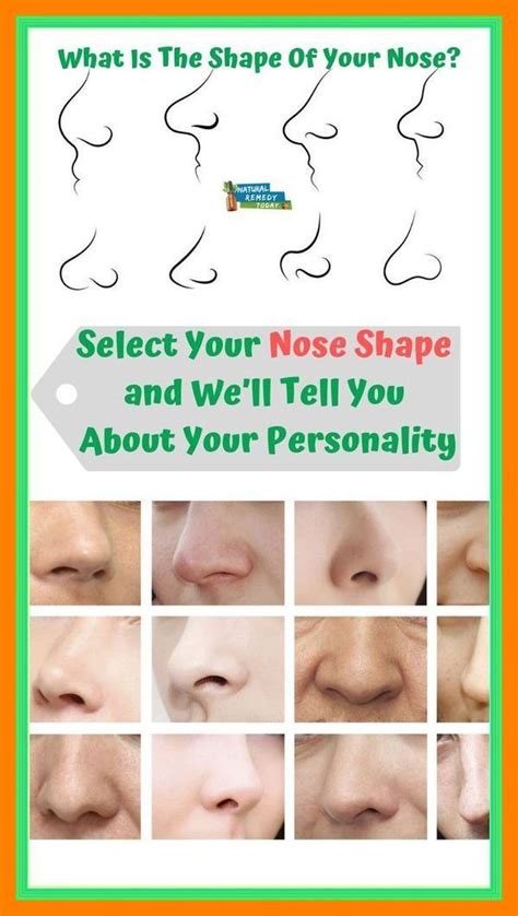 The Shape Of Your Nose Tells A Ton About Your Personality Artofit