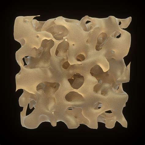 Sponge Spongy Bone Structure 3D Model $9 - .stl .obj .3ds .fbx .c4d - Free3D