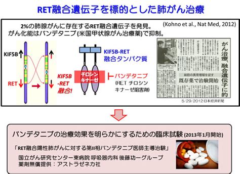 融合遺伝子を標的としたがん治療法の開発 国立がん研究センター 研究所