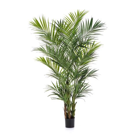 Kentia Palmier Artificiel Cm