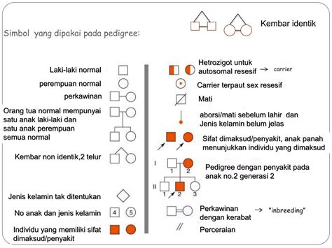 Dokumen Tips Ppt Penyakit Genetik Slide Kuliah Ppt