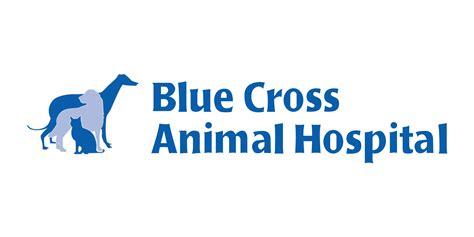 Policies | Blue Cross Animal Hospital in Minneapolis, MN