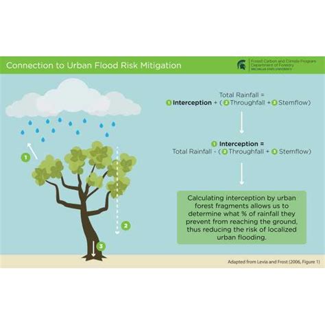 Urban Forestry Figures Forest Carbon And Climate Program