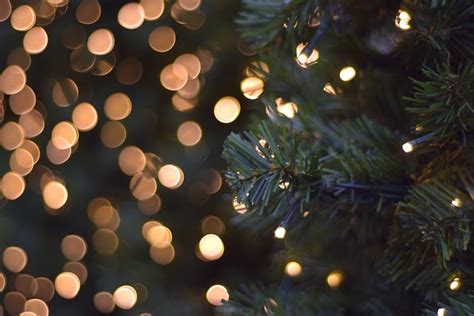 Christmas Tree Lights Bokeh Free Photo On Pixabay Pixabay