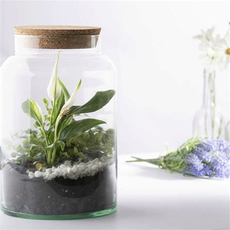 Esschert Design Half Open Terrarium Bottle Bloomling International