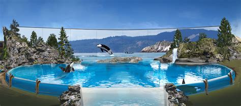 SeaWorld San Diego Orca Encounter - San Antonio Report