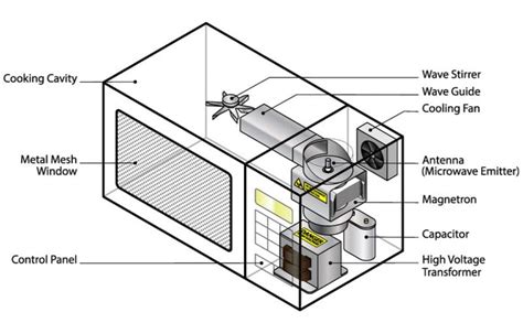 Parts Of A Microwave You Should Know About