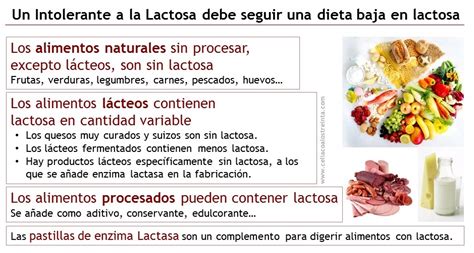 Alimentos Intolerantes A La Lactosa