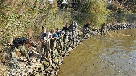 Bac Professionnel Productions Aquacoles Lyc E Agricole De Cibeins