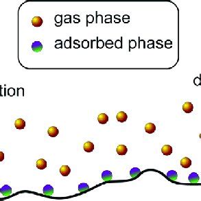 Schematic Representation Of The Adsorption Dynamic Equilibrium