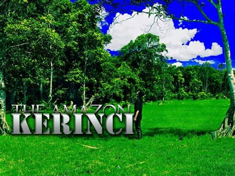 kayu aro campgrounds   prices tripadvisor