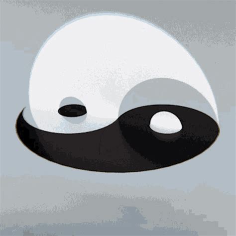 Yin Yang  Yin Yang Scopri E Condividi 