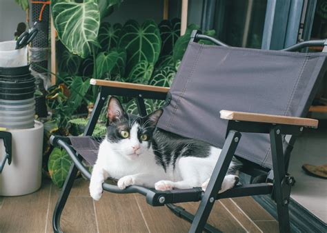 A Jacuzzi on the Balcony Overlooking the City · Free Stock Photo