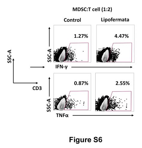 Fatp2 Blockade Of Mdscs Promotes The Activation Of T Cells From