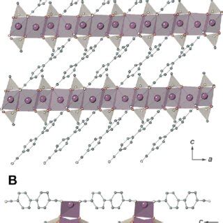 Single Crystal X Ray Structure Of Ag 2 L1 CF 3 SO 3 2 1