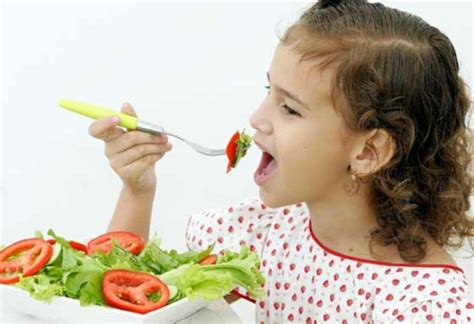 Centro Escolar Do Vale Do C Vado Comer Bem Para Viver Melhor