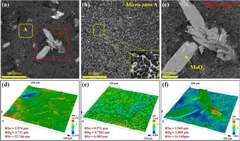 Lscm D D Images And Roughness Parameters Of Si Mosi Coating