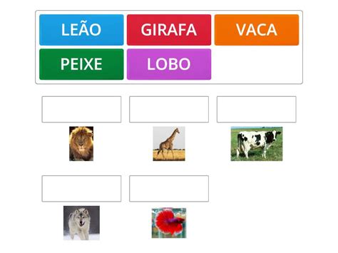 Relacione A Imagem A Escrita Animais Match Up