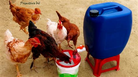 Como Hacer Bebedero De Litros De Agua Para Gallinas Y Pollos Youtube