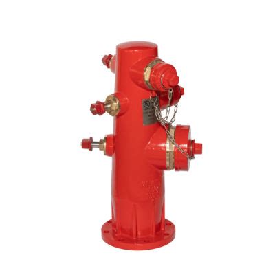 Dn Fm Ul Wet Type Fire Hydrant With Hose Nozzle And