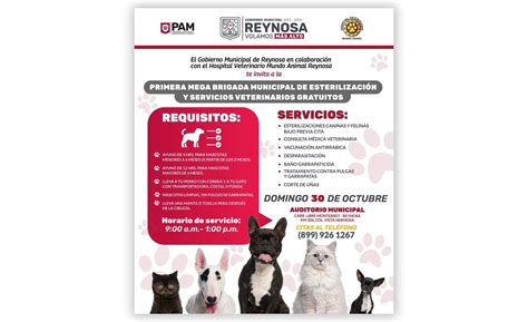 Ofrecen Gobierno de Reynosa y Mundo Animal esterilización gratuita para