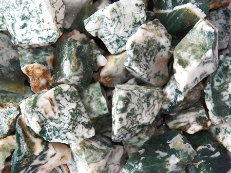 5 Lb Tree Agate Rough Tumbling Rock Stones Tumbler From India Ebay