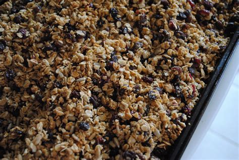 Sunflower Granola Recipe - Cat Can Cook