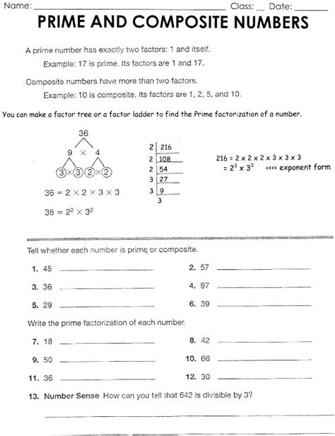 Identifying Prime Numbers Worksheet