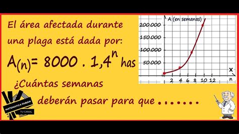 PROBLEMAS de FUNCIÓN EXPONENCIAL resuelto con gráfica paso a paso