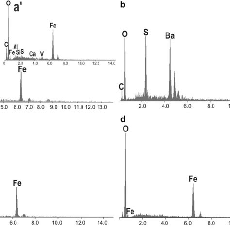 Eds Spectra Of Mineral Grains The Location Of The Investigated