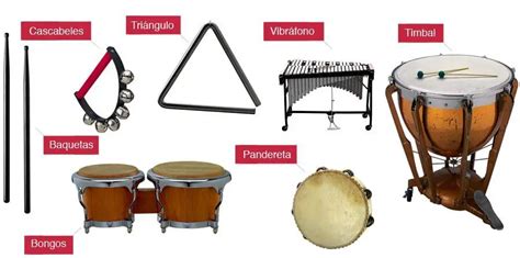 Instrumentos De PercusiÓn Qué Es Origen Historia Y Mucho Más